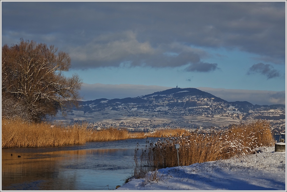 Blick vom Grande-Canal auf den tiefverschneiten Mont-Pelerin und Vevey.
(11.01.2017)