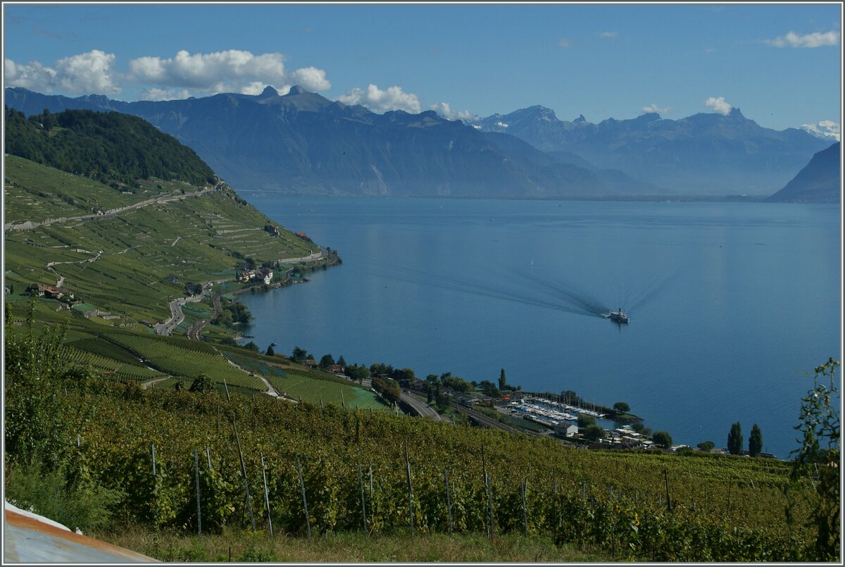 Blick ins Lavaux bis zu den Waadtländer Alpen.

20.09.2013