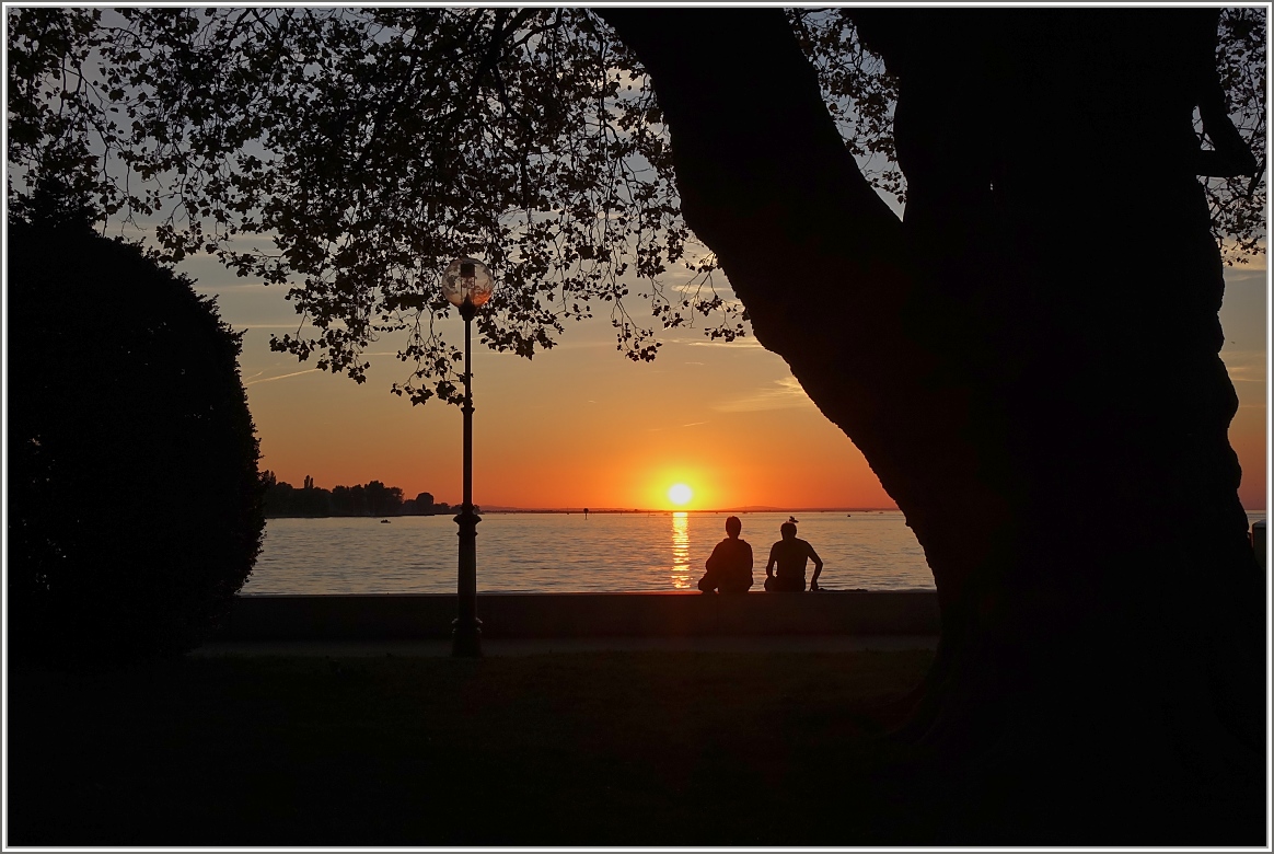 Blick in den Sonnenuntergang am Bodensee
(08.09.2016)