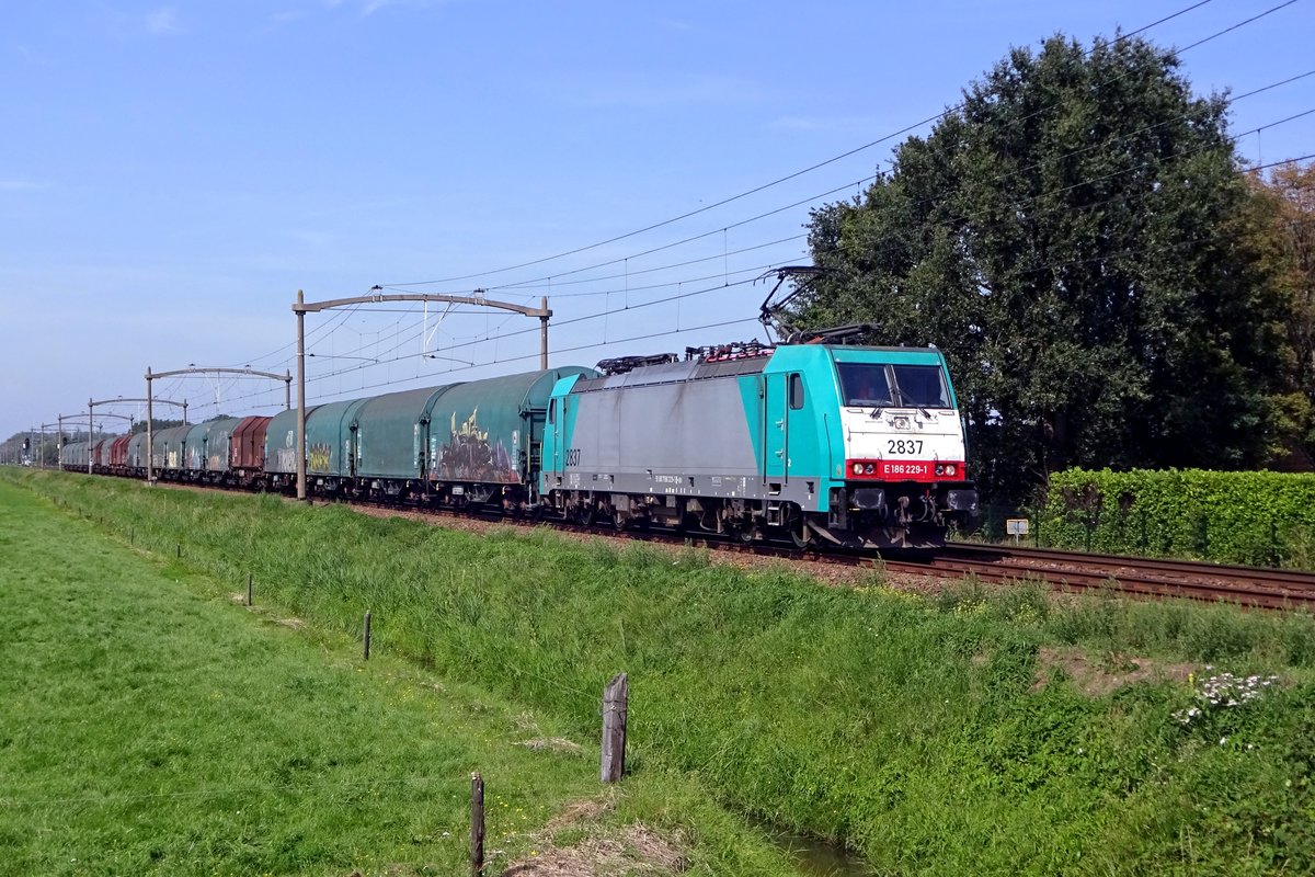 CoBRa 2837 zieht ein Stahlzug durch Hulten am 23 Augustus 2019.