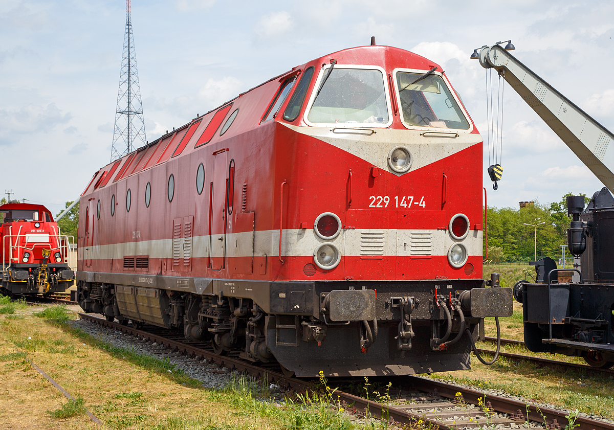 
Das  U-Boot , bzw. die 229 147-4 (92 80 1229 147-4 D-CLR) der Cargo Logistik Rail-Service GmbH (CLR), ex DB 229 147-4, ex DR 219 147-6 , ex DR 119 147-7, wurde am 21.05.2016 auf dem Familienfest der Magdeburger Eisenbahnfreunde im Wissenschaftshafen Magdeburg prsentiet.

Das U-Boot wurde 1983 von der Lokomotivfabrik 23. August in Bukarest /Rumnien (heute FAUR S.A.) unter der Fabriknummer  24653 gebaut und an die Deutsche Reichsbahn als DR 119 147-7 geliefert. Bereits 1992/93 wurde sie von Krupp, unter der Fabriknummer 5660, modernisiert. 

Mit dem Zusammenschluss der beiden deutschen Bahnen gab es den Versuch, die Baureihe 219, ex DR 119,  zu modernisieren. Dabei wurde eine 20 Maschinen umfassende Fahrzeugserie bei Krupp in Essen unter Beibehaltung der Ordnungsnummer vollstndig umgebaut. Neben einer deutlichen Leistungssteigerung durch Verwendung anderer Motoren (MTU 12V396 TE14) wurde die zulssige Hchstgeschwindigkeit bei diesen Fahrzeugen auf 140 km/h heraufgesetzt, um die Loks auch im InterCity-Verkehr von und nach Berlin einsetzen zu knnen, da zu diesem Zeitpunkt noch Lcken im elektrifizierten Hauptbahnnetz der DR klafften. Insbesondere whrend der Elektrifizierung der Berliner Stadtbahn bernahmen von der Baureihe 229 gezogene InterCitys im Bahnhof Michendorf bei Potsdam Reisende aus ICE-Zgen, um sie ber die Stadtbahn nach Berlin Mitte zu bringen. Die ICEs wurden bis zur Elektrifizierung der Stadtbahn ber den Berliner Auenring nach Lichtenberg umgeleitet.
Die Kosten der Modernisierung bertrafen fast den Preis fr eine Neubaulok, sodass diese nach der ersten Serie abgebrochen wurde. Die Fahrzeuge erhielten die Baureihenbezeichnung 229 und wurden in Berlin-Pankow beheimatet. Mit dem Fortschreiten der Elektrifizierung der Magistralen um Berlin, wurde die Lok am 04.04.1995 von Berlin Pankow nach Erfurt umbeheimatet, wo sie bis zu ihrer Abstellung und Ausmusterung 2001 im Dienst von DB  Regio Erfurt gestanden hat.

Da die Lokomotive noch eine Mindesteinsatzzeit von ber 10 Jahren bis zur Abschreibung der Umbaukosten besa, und der Bundesrechnungshof die weitere Verschrottung der Baureihen 229 vor Ablauf dieser Mindesteinsatzzeit untersagte, wurde die Lok 2002 zur Bahntochter DB Bahnbau Berlin verkauft. Dort wurde die Lokomotive ausschlielich vor Bau- und Arbeitszgen eingesetzt.

Am 21.08.2012 erhielt die Lokomotive eine neue Hauptuntersuchung, wurde aber fortan nur noch sehr selten eingesetzt. Die DB Bahnbau hatte mittlerweile gengend Lokomotiven der Bundesbahnbaureihenfamilie V160 erhalten, fr die eine gesicherte Ersatzteilversorgung langfristig zur Verfgung stand. Anfang des Jahres 2015 wurden die Lokomotiven 229 147-4, 229 181-3 und schlielich auch die 229 100-3  zum Verkauf ausgeschrieben.

Das Unternehmen CargoLogistikRail (CLR) aus Magdeburg hatte den Zuschlag fr die Lokomotiven erhalten, und sie schlussendlich zur Betriebseigenen Werkstatt nach Mser b.Magdeburg berfhrt, wo die 229 147-4 wie auch die 229 181-3  instandgesetzt und in die Auslieferungslackierung zurckversetzt wurden. Die Lokomotive steht somit fortan wieder fr Einstze vor Arbeits-, Gter- und Reisezgen zur Verfgung. Die 229 100-3 dient dabei als Ersatzteilspender fr die beiden anderen 229ern.

TECHNISCHE DATEN der BR 229:
Spurweite: 1.435 mm (Normalspur)
Achsanordnung: C' C'
Lnge ber Puffer: 19.500 mm
Treibraddurchmesser: 	1.000 mm
Motor: 2 Stck V-12-Zylinder MTU-Dieselmotor mit Direkteinspritzung, Abgasturbolader und Ladeluftkhlung, vom Typ 12V396 TE14
Motorleistung:  2 x 1.240 kW (1.685 PS) = 2480 kW (3370 PS)
Volllastdrehzahl: 1800 U/min 
Leerlaufdrehzahl: 600 U/min
Motorgewicht: 2 x 3.900 kg (trocken)
Getriebe: Voith Strmungsgetriebe GSR 30/5,7 (3 Wandler)
Leistungsbertragung: dieselhydraulisch
Hchstgeschwindigkeit: 140 km/h
kleinste Dauerfahrgeschwindigkeit: 23 km/h
Anfahrzugkraft: 276 kN 
Dauerzugkraft: 180 kN
Dienstgewicht: 103 t
elektrische Zugheizleistung: 	 800 kW 
Kraftstoffvorrat:4000 l
Sandvorrat: 320 kg
