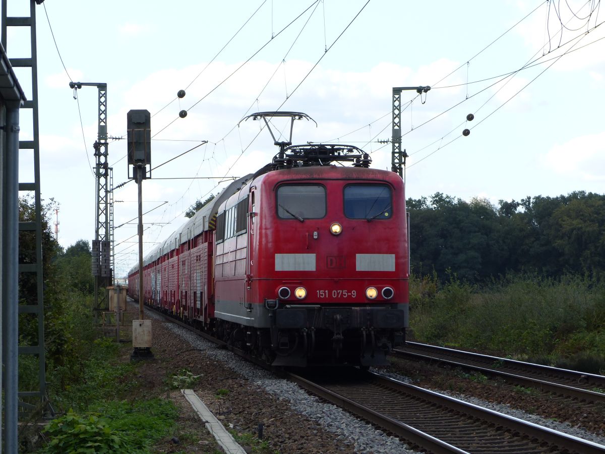 DB Cargo Lok 151 075-9 bei Bahnbergang Devesstrae, Salzbergen 13-09-2018.

DB Cargo loc 151 075-9 bij de overweg Devesstrae, Salzbergen 13-09-2018.