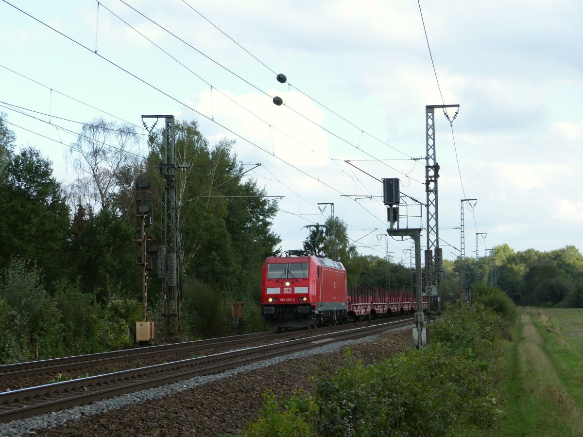 DB Cargo Lok 185 229-2 Devesstrae, Salzbergen 13-09-2018.

DB Cargo loc 185 229-2 Devesstrae, Salzbergen 13-09-2018.