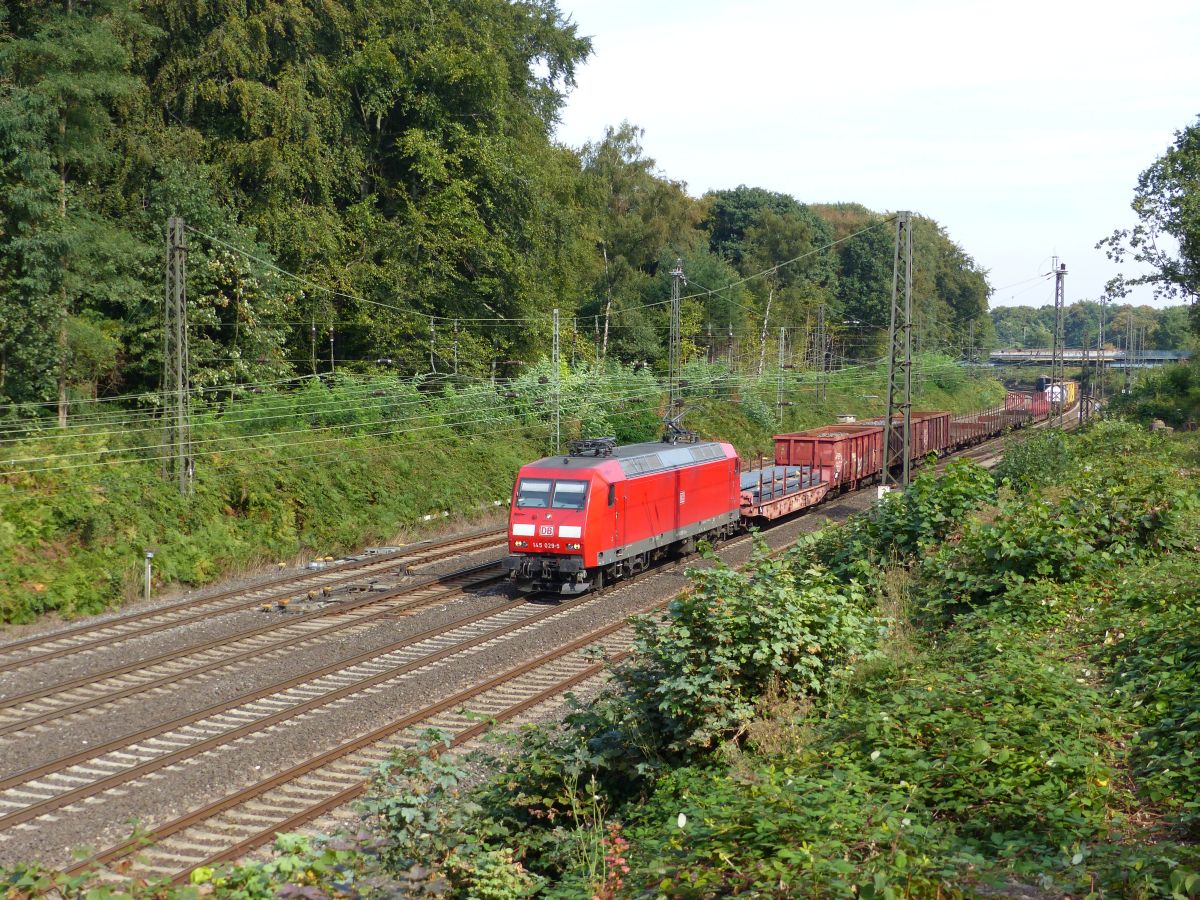 DB Schenker Lok 145 029-5 Abzweig Lotharstrasse, Forsthausweg, Duisburg 22-09-2016.

DB Schenker loc 145 029-5 Abzweig Lotharstrasse, Forsthausweg, Duisburg 22-09-2016.