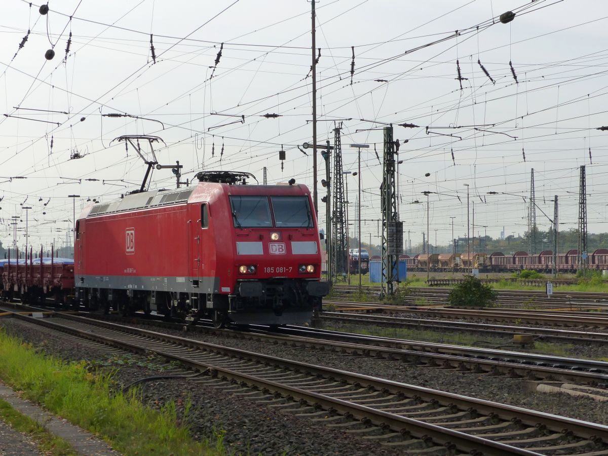 DB Schenker Lok 185 081-7 Oberhausen West 30-10-2015.

DB Schenker loc 185 081-7 Oberhausen West 30-10-2015.