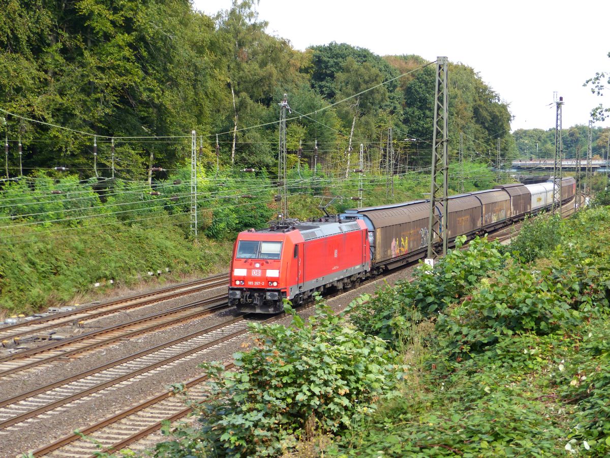 DB Schenker Lok 185 267-2 Abzweig Lotharstrasse, Forsthausweg, Duisburg 22-09-2016.

DB Schenker loc 185 267-2 Abzweig Lotharstrasse, Forsthausweg, Duisburg 22-09-2016.