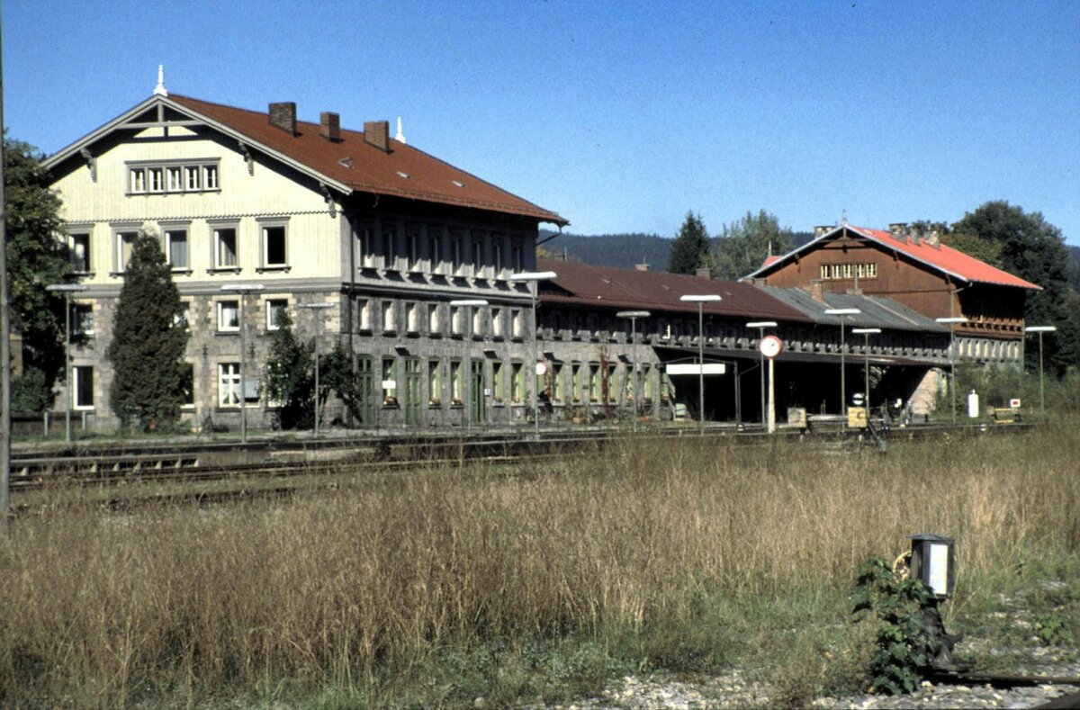 Der Bahnhof Bayerisch Eisenstein, auf tschechisch Železná Ruda-Alžbětín im Oktober 1989. Die Grenze geht mitten durch den Bahnhof und ist erkennbar am farblich unterschiedlichen Dach. Der vordere Gebäudeteil ist der deutsche Teil. Auf tschechischer Seite gab es im Oktober 1989 keinen Bahnverkehr, so dass die Gleise mit Bäumen (meist Birken) zugewachsen waren.