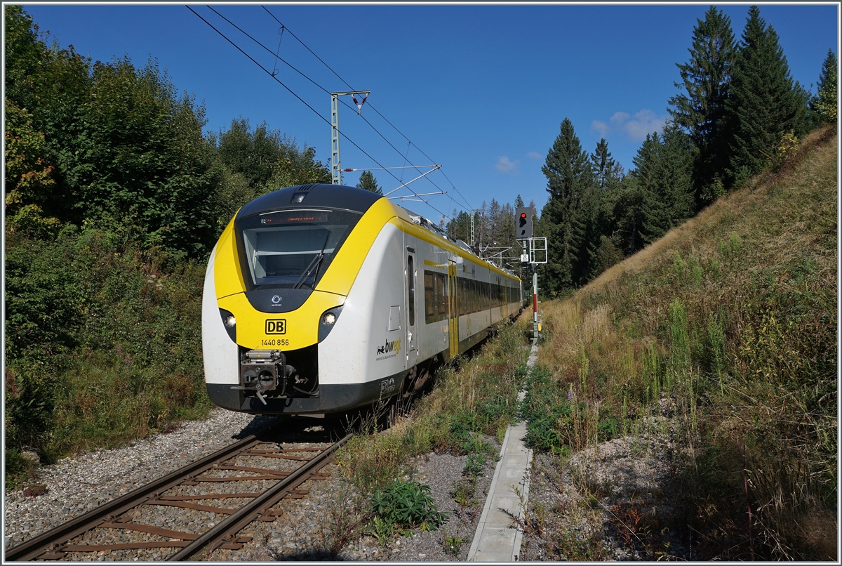 Der DB 1440 856 und ein weiterer sind von Endingen (Baden) nach Seebrugg unterwegs und erreicht die Haltestelle Altgashütten-Falkau, wo ich am Ende des Bahnsteiges dieses Bild gemacht habe. 

12. Sept. 2021