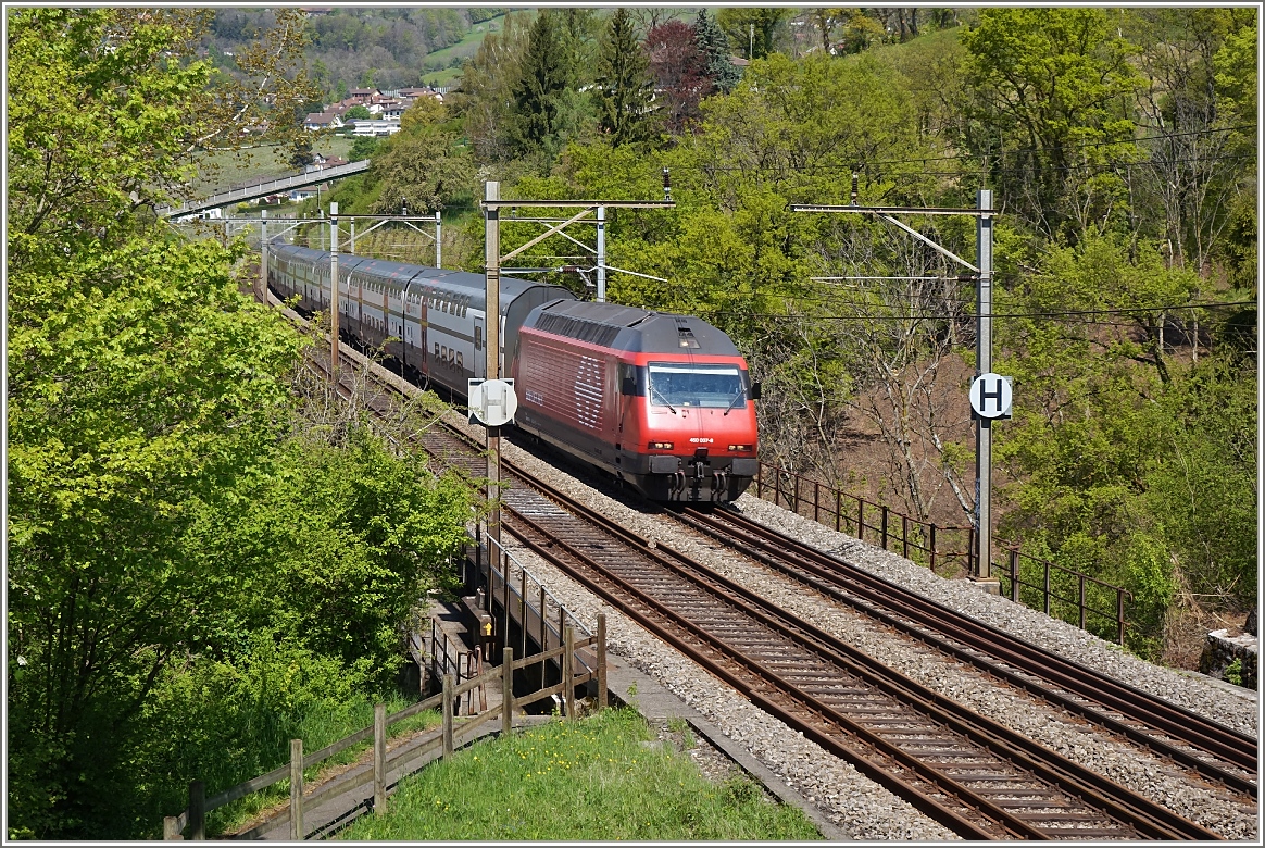 Der IC 721 unterwegs nach St.Gallen, bei Bossiére.
(23.04.2014)