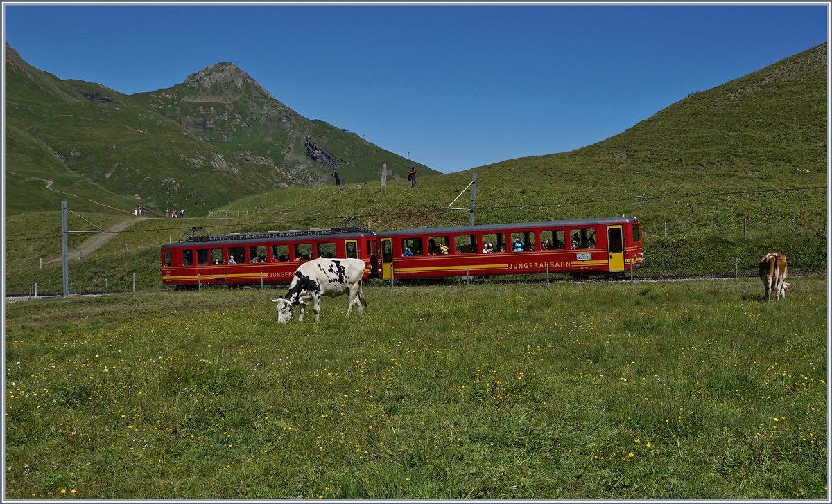 Der JB BDeh 2/4 208 mit seinem Bt fährt oberhalb der Kleinen Scheidegg Richtung Jungfraujoch.
8. Aug. 2016