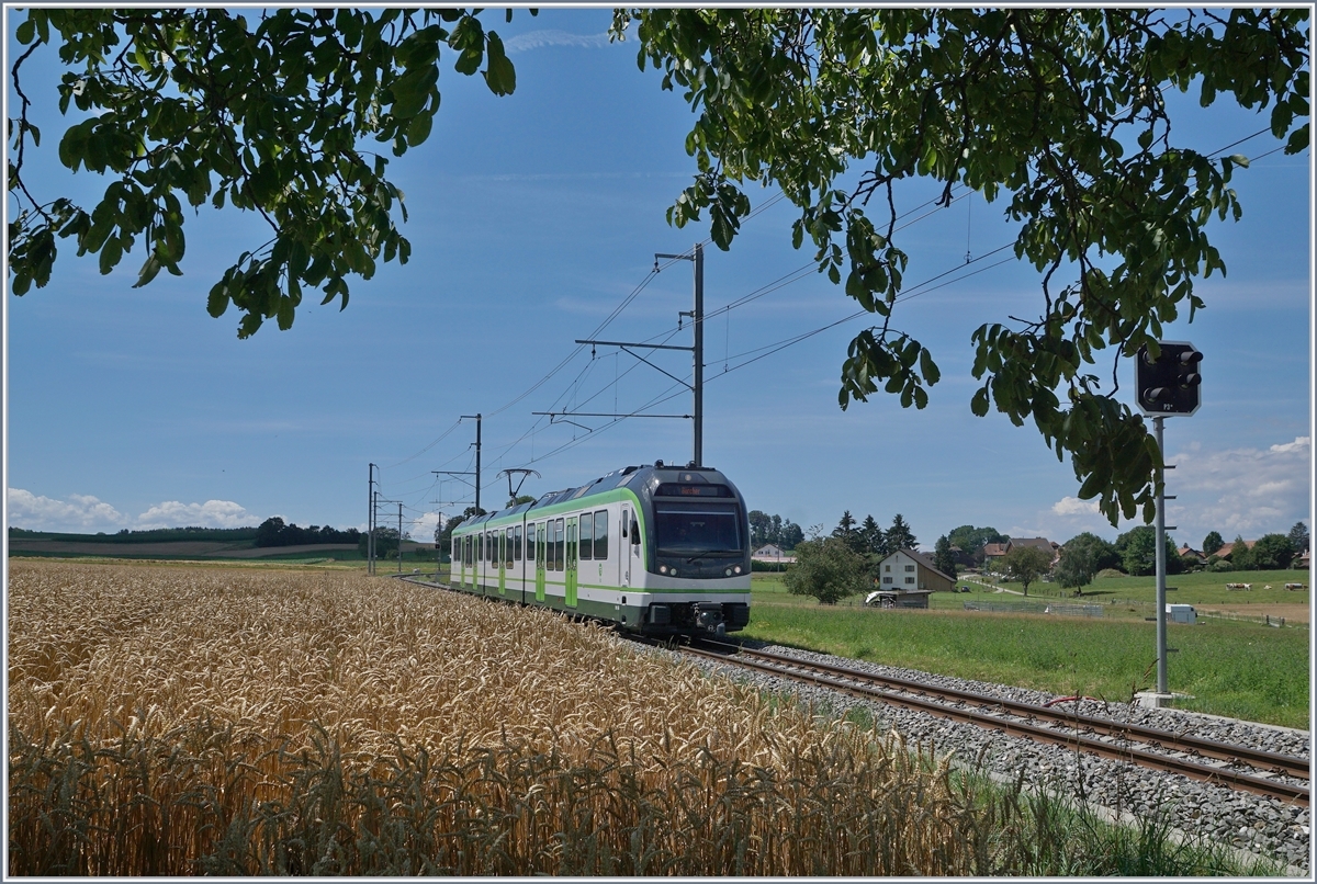 Der Kanton Waadt (VAUD) bietet mit Jura, Mittelland und Alpen nicht nur landschaftlich eine interessante Vielfalt, sondern auch im Bahnverkehr: Von einem schattigen Plätzchen im Schutze eines Baumes konnte ich im  Gros-de-Vaud , der Kornkammer des Kantons, den LEB Be 4/4 64, unterwegs als Regionalzug 131 von Lausanne Flon nach Bercher kurz nach Fey fotografieren. 

25. Juli 2020