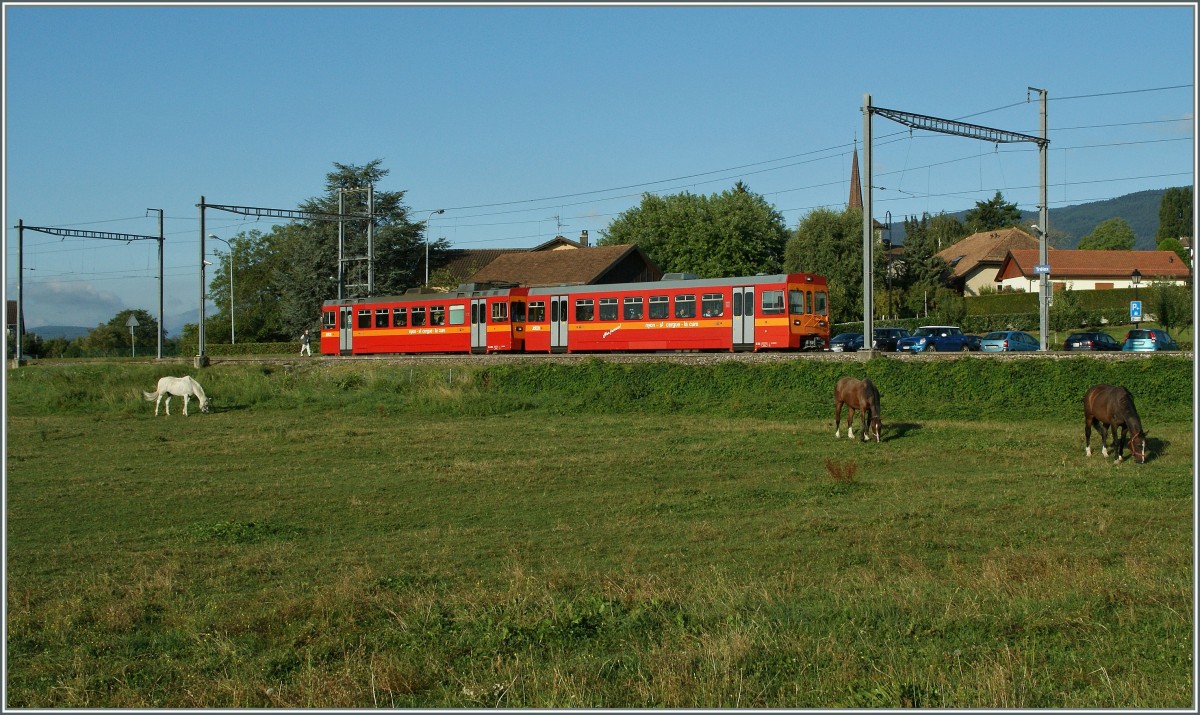 Der Nyon St-Cergue - Morez (NStCM) Regionalzug 215 beim Halt in Trlex.
28. August 2013