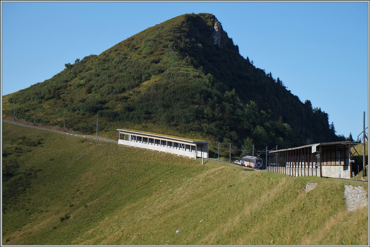 Der Rochers de Naye Beh 4/8 303 auf der Wasserschiede zweischen Rohne und Rhein kurz nach der Station Jaman.
4. Sept. 2014
