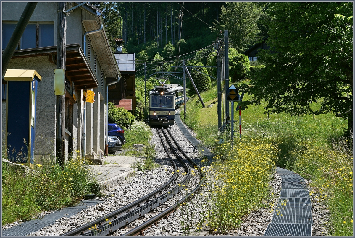 Der Rochers de Naye Bhe 4/8 304 vorne und 301 hinten erreichen Crêt-d'y-Bau.
28. Juni 2016 