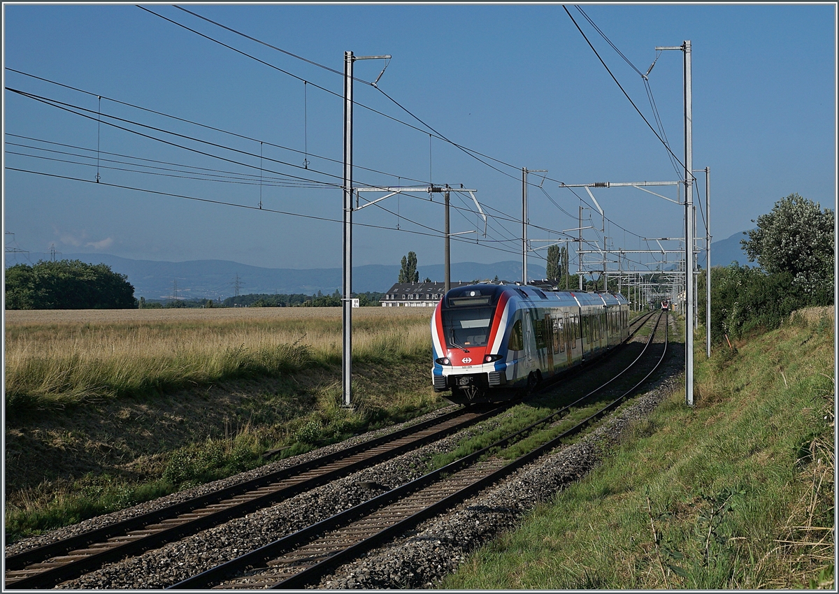 Der SBB LEx RABe 522 229 ist als SL5 bei Bourdigny auf dem Weg von Genève nach La Plaine. 
Weit im Hintergrund, wohl noch im Bahnhof von Satigny ist der Zug der Gegenrichtung wage zu erkennen.

19. Juli 2021