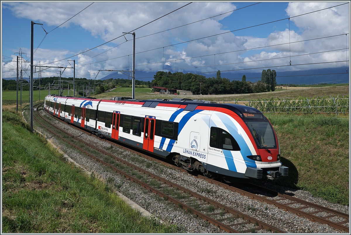 Der SBB LEX RABe 522 215 als SL5 auf dem Weg nach Genève zwischen Russin und Satigny.

2. August 2021