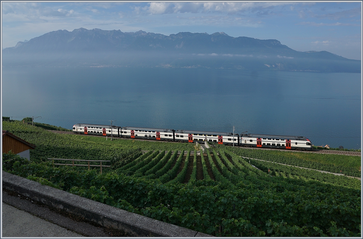 Der SBB RABE 511 104 als nummernlose S-Bahn 24759 auf dem Weg von Puidoux nach Vevey mit Halt nur in Chexbres-Village.

26. Juli 2019