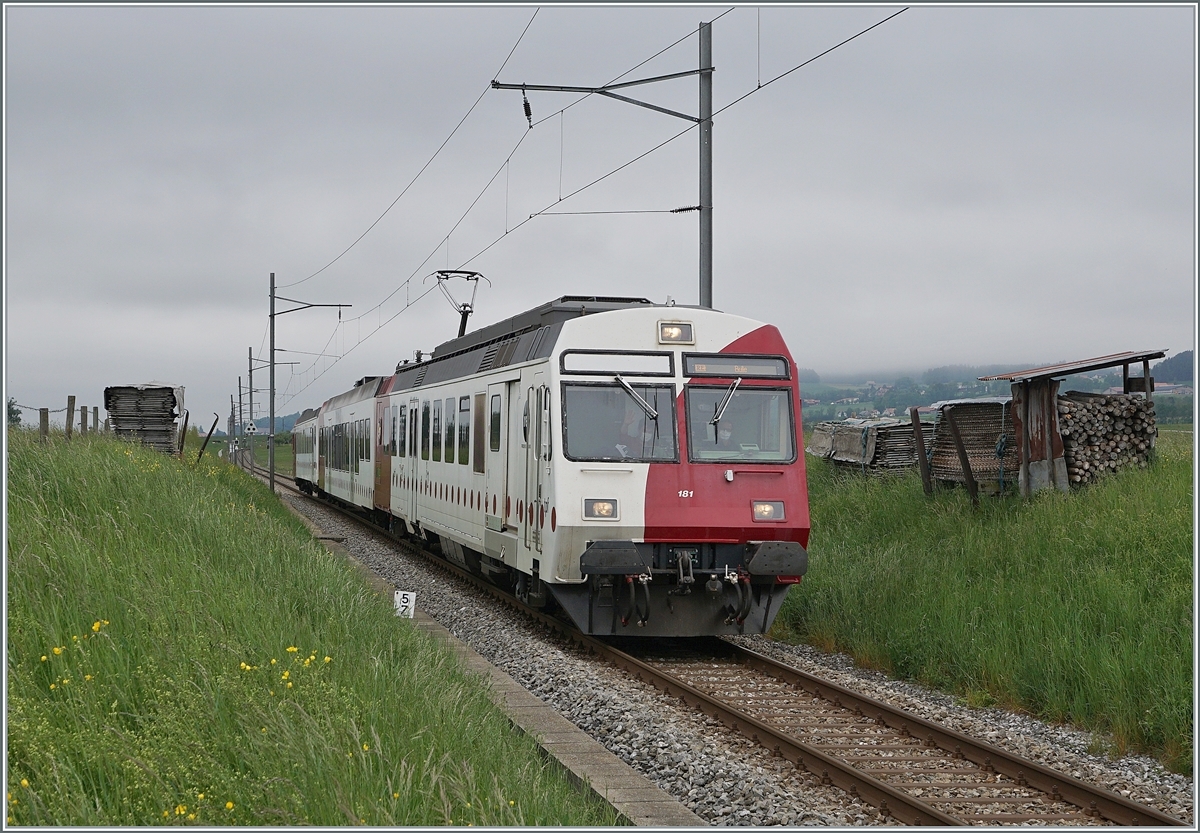 Der TPF RBDe 567 181 Pendelzug ist als RE 4020 ist kurz vor Vaulruz von Fribourg nach Bulle unterwegs. Interessant, wie der Bahndamm als Lagerplatz genutzt wird, was nicht nur praktisch, sondern auch fotogen ist.

12. Mai 2020