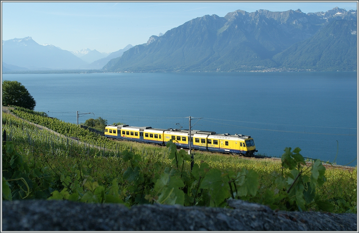 Der  Train des Vigens  in den Weinreben bei Chexbres. 
29. Mai 2011