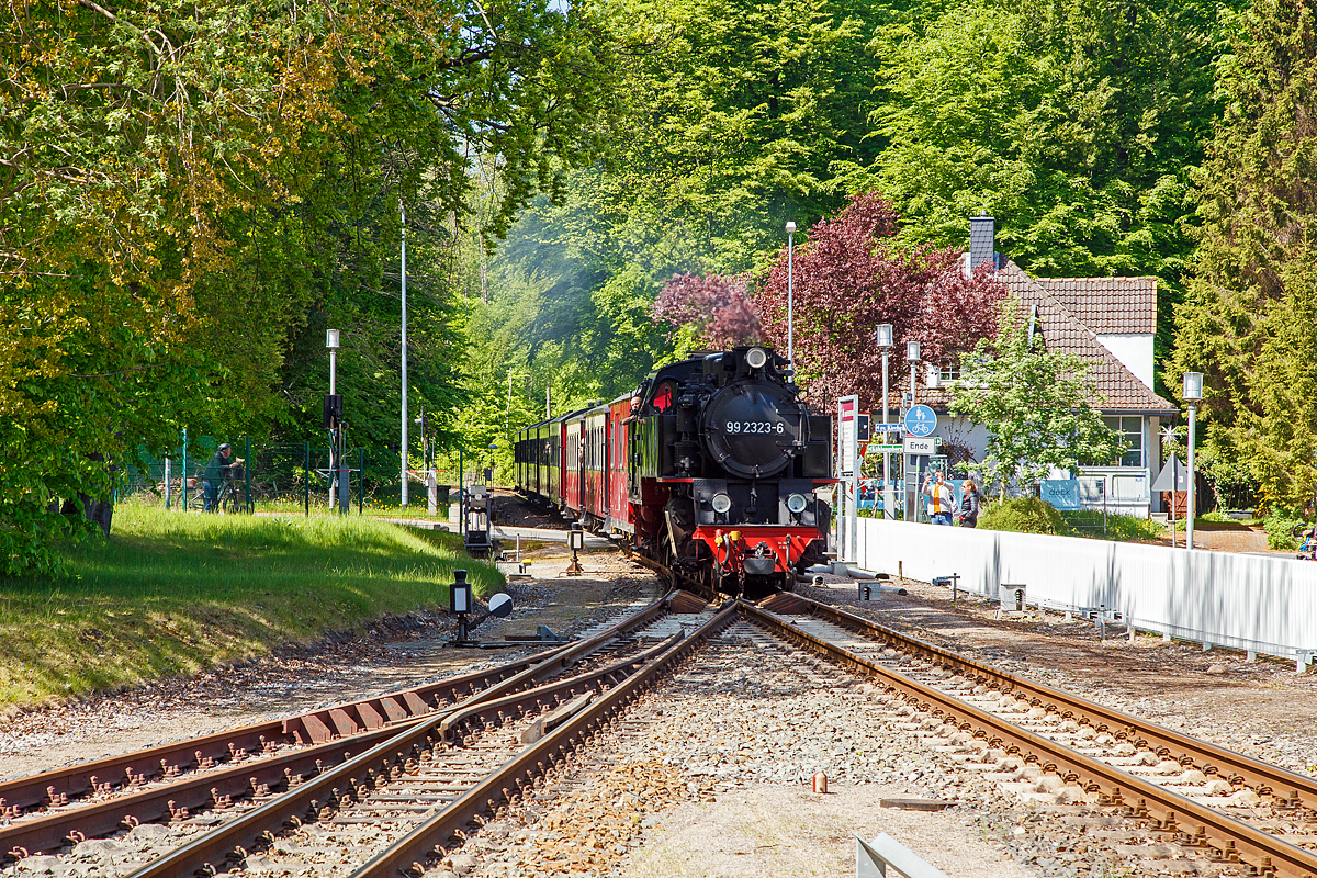 Die 99 2323-6 der MBB - Mecklenburgischen Bderbahn Molli, ex DB/DR 099 903-7, ex DR 99 323, erreicht mit dem MBB Dampfzug von Khlungsborn-West nach Bad Doberan (auch gefhrt als RB 31 „Bderbahn Molli“), am 15.05.2022 den Bahnhof Heiligendamm.