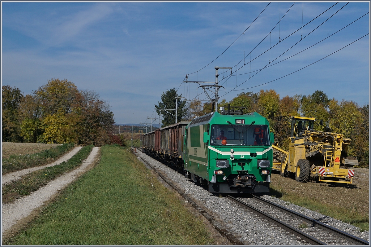 Die BAM Ge 4/4 22 erreicht mit einem weiteren leeren Sieben-Wagen Zug die Zuckerrübenverladestelle bei Reverolle, wobei hier nur noch zwei Wagen beladen werden, auf die  übrigen fünf warten ein paar hundert Meter weiter unten, weitere Zuckerrüben.
17. Okt. 2017