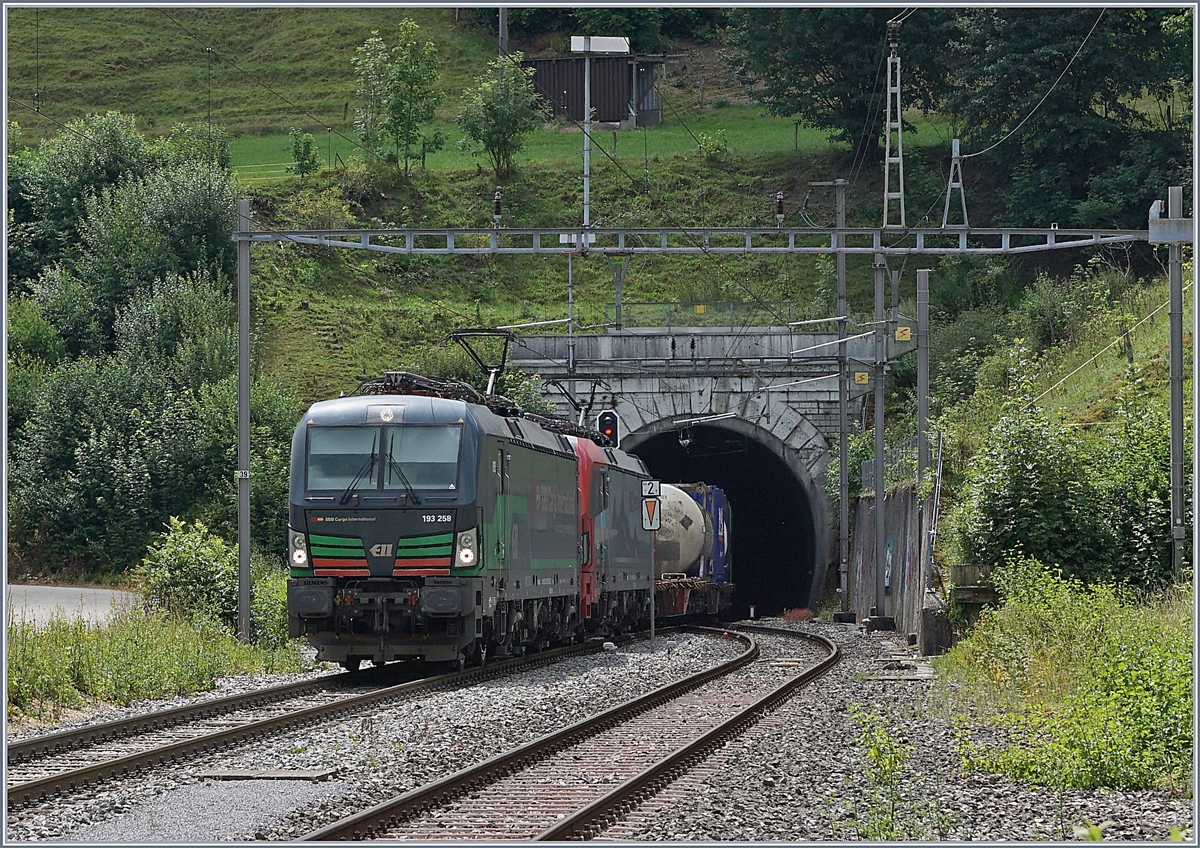 Die beiden 193 258 und 461 verlassen mit einem SBB Cargo International Güterzug auf dem Weg Richtung Basel bei Läufelfingen den 2495 Meter langen Hauensteintunnel.

11. Juli 2018
