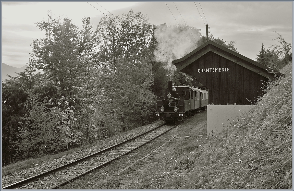 Die Blonay-Chamby LEB G 3/3 N° 5 erreicht mit ihrem Personenzug die Haltestelle Chantemerle. 

27. Okt. 2019