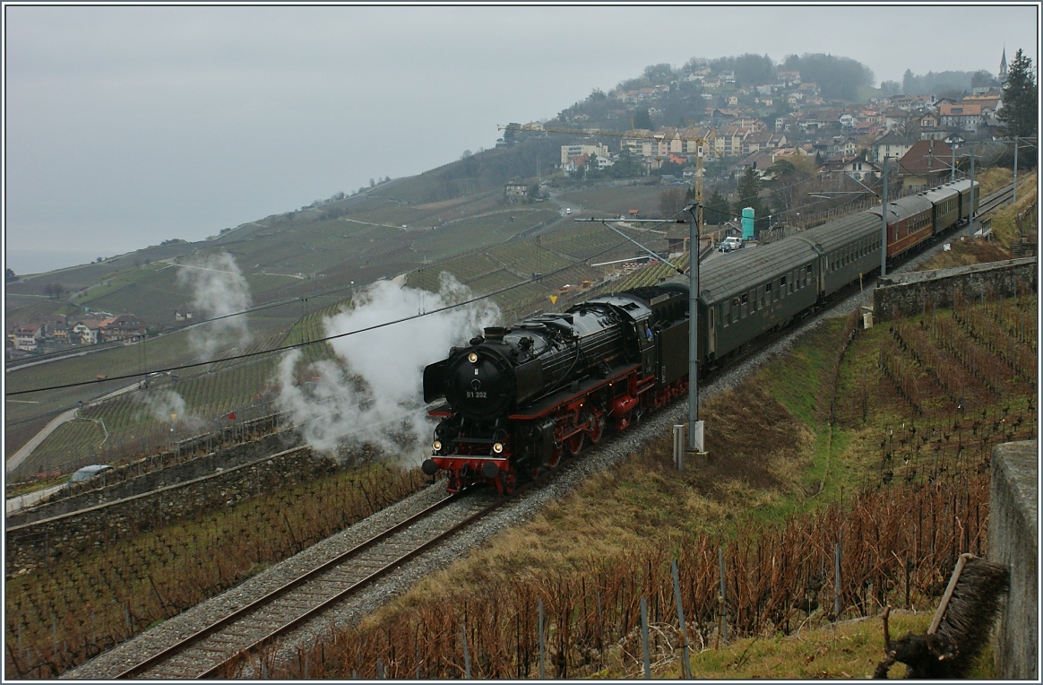 Die Dampflok 01 202 fährt mit 30 km/h durchs Lavaux nach Vevey hinunter.
(18.01.2013)