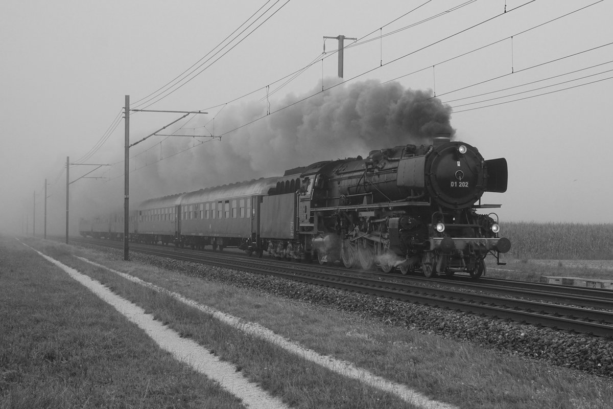 Die Dampflok Pacific 01 202 auf der Fahrt nach Schaffhausen am Morgen des 15. August 2020 im dichten Nebel bei Deitingen.
Foto: Walter Ruetsch