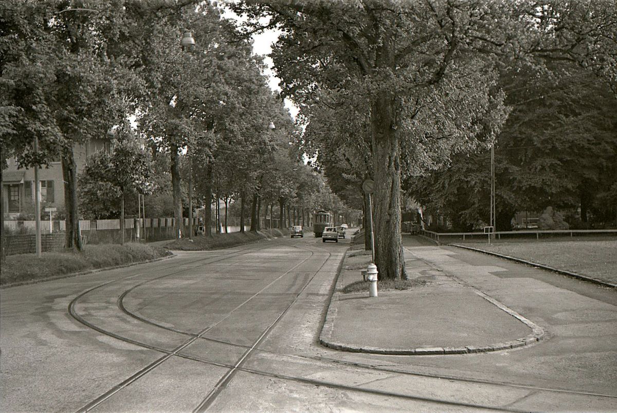 Die ehemalige Tramlinie 1 in Bern im Raum Brückfeld: Blick von der Endstation Brückfeld stadteinwärts. Die Gleisverlängerung im Vordergrund dient dem ganz seltenen Abstellen von Wagen bei Sportveranstaltungen im Sportzentrum Neufeld. 21.Sep. 1965 