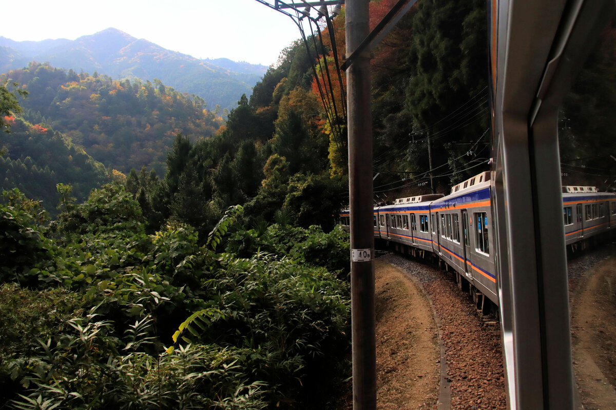 Die in Hashimoto beginnende Bergstrecke zum Kôya-san führt zunächst durch fruchtbares Agrarland und eine enge Schlucht nach Kôya Shita. Ab da geht es dann steil aufwärts (50 Promille) durch dichtesten Wald und viele Tunnels. Weil es praktisch keine Wege gibt, auf denen man sich der Bahn nähern könnte, müssen Bilder vom Zug selber aus aufgenommen werden, entweder nach vorn oder hinten, oder durch die Seitenfenster mit Blick im unteren Streckenteil auf Bergdörfer in den steilen Hängen gegenüber, und dann nur noch auf das endlose grüne Dickicht des undurchdringlichen Forstes. Aufnahme zwischen Kii Kamiya und Kii Hosokawa (aus Zug 2046), 5.November 2022 