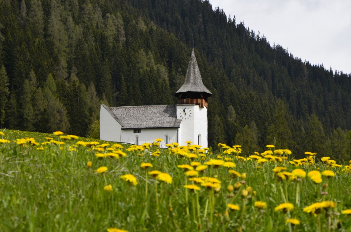 Die Kirche von Davos Frauenkirch im Mai. (11.05.2014). Ansonsten sieht man sie oft nur auf der Bahnfahrt zwischen Davos und Filisur. 
 Davos Frauenkirch ist eine Fraktionsgemeinde der Landschaft Davos. Sie liegt auf 1'505 m ü. M. zwischen Davos Platz und Davos Glaris und hat 442 Einwohner. Die walserische Streusiedlung ist nach dem Kirchlein zur lieben Frau benannt, welches aus vorreformatorischer Zeit stammt und um 1350 erbaut worden ist, 1470 ergänzt durch einen angebauten Turm. Im Lawinenwinter 1602 wurde das Kirchlein durch eine Lawine fast gänzlich zerstört. 1603 wurde es wieder aufgebaut und bergseits mit dem charakteristischen Lawinenspaltkeil versehen. Seither hat es allen Lawinenniedergängen standgehalten . (Quelle:Wikipedia)