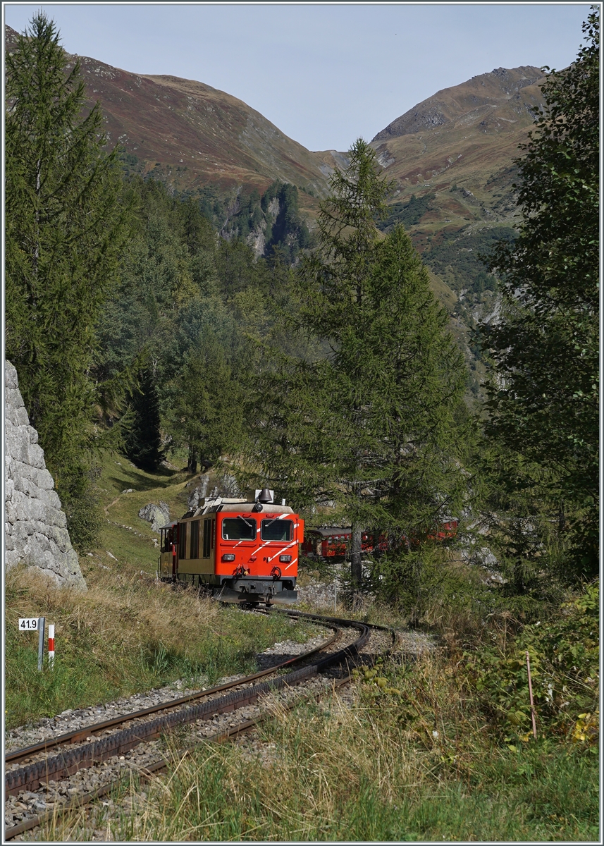 Die von der MGB übernommene Gm 4/4 61 der Dampfbahn Furka Bergstrecke folgt dem im Wald verschwindenden Dampfzug mit einem Löschwagen (im Bild nicht zu sehen) oberhalb von Oberwald. 

30. Sept. 2021