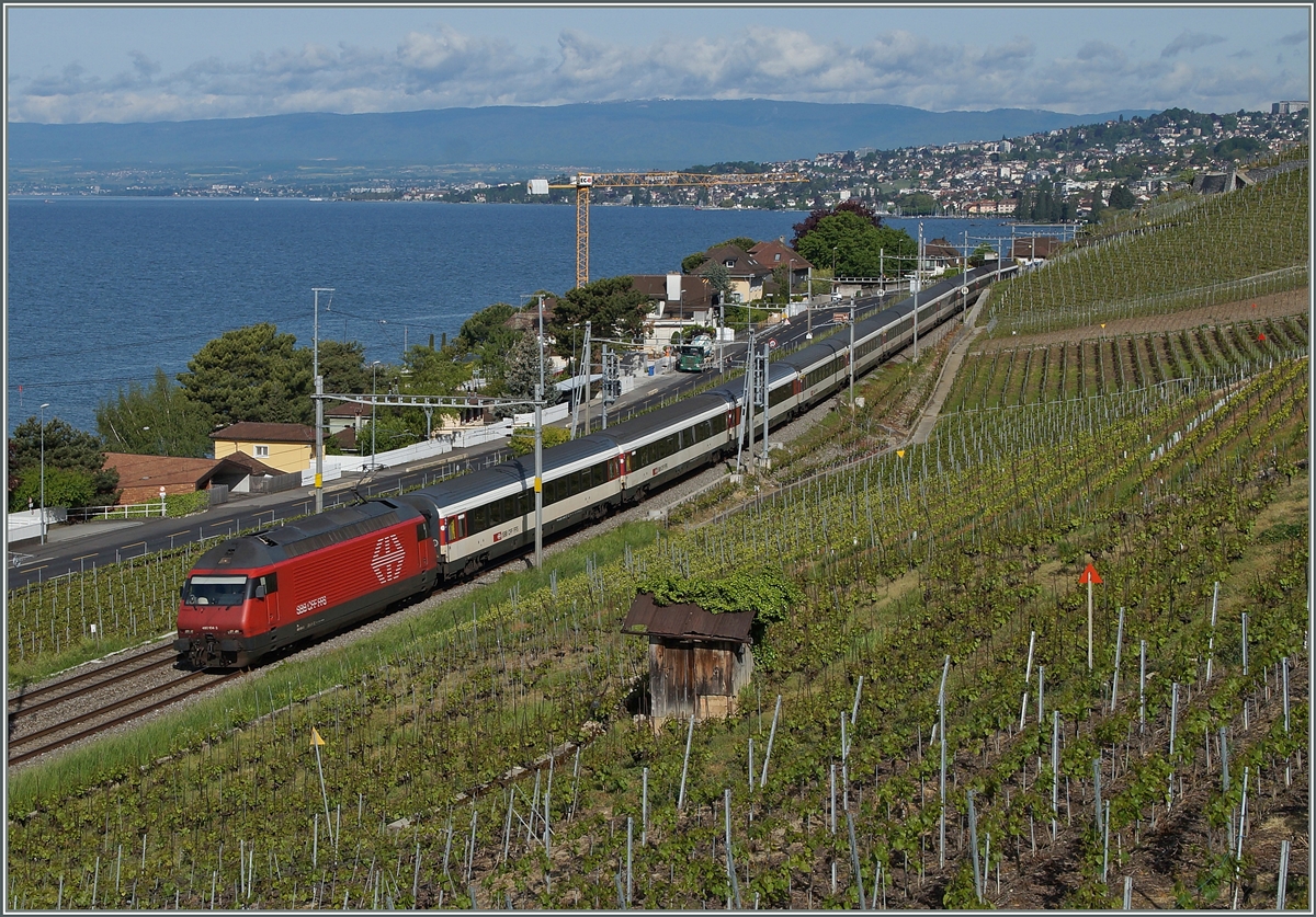 Die SBB Re 460 104-3 mit dem IR 1711 von Genève nach Brig im Lavaux kurz vor Cully.
8. Mai 2014
