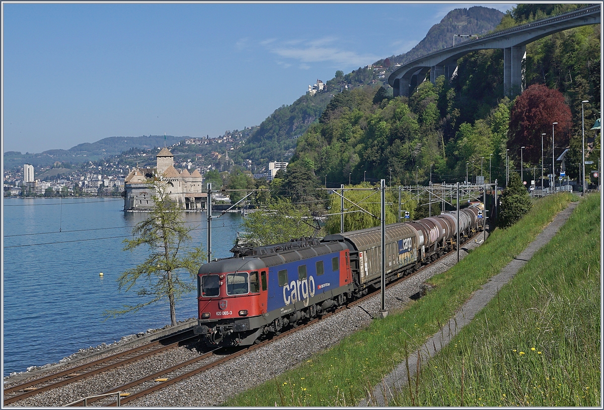 Die SBB Re 6/6 116665 (UIC 91 85 4620 065-3 CH-SBBC) ist mit einem Güterzug in Richtung Wallis beim Château de Chillon kurz vor Villeneuve unterwegs. 

16. April 2020