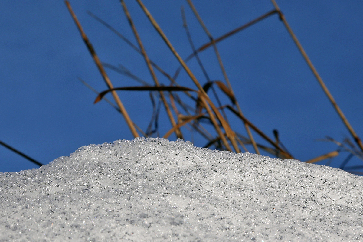
Die Schneekristalle glänzen im Sonnenlicht.....
Bei Nisterberg am 05.01.2015
