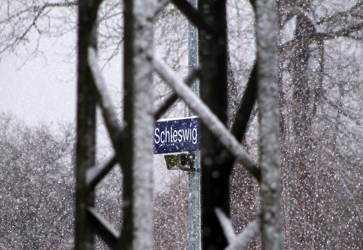 Die Schneeparade geht wieder los...Schleswig 29.01.2015