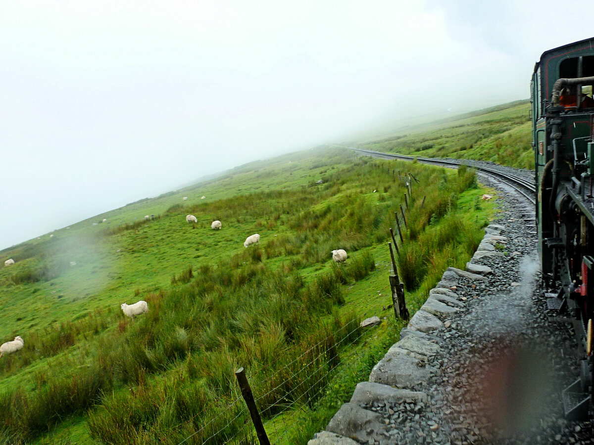 Die in der Schweiz gebauten Lokomotiven der Snowdon Mountain Railway / Rheilffordd yr Wyddfa - Lok 6: Schäfchen. 6.Juli 2012