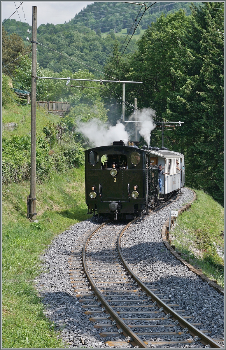 Dieses Jahr fällt mein Beitrag zum  Festival Suisse de la vapeur (Schweizer Dampffestival 2025) arbeitsbedingt etwas weniger üppig aus: Die BFD HG 3/4 N° 3 ist mit ihrem Dampfzug kurz vor Chantemerle auf dem Weg nach Blonay. 

8. Juni 2025