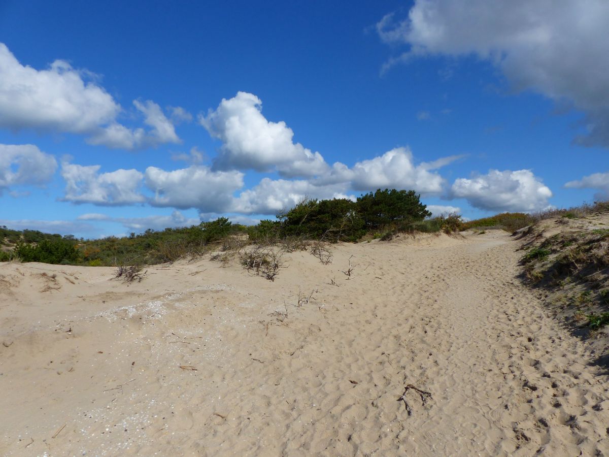 Dne bei Noordwijk 27-09-2015.

Duinen bij Noordwijk 27-09-2015.