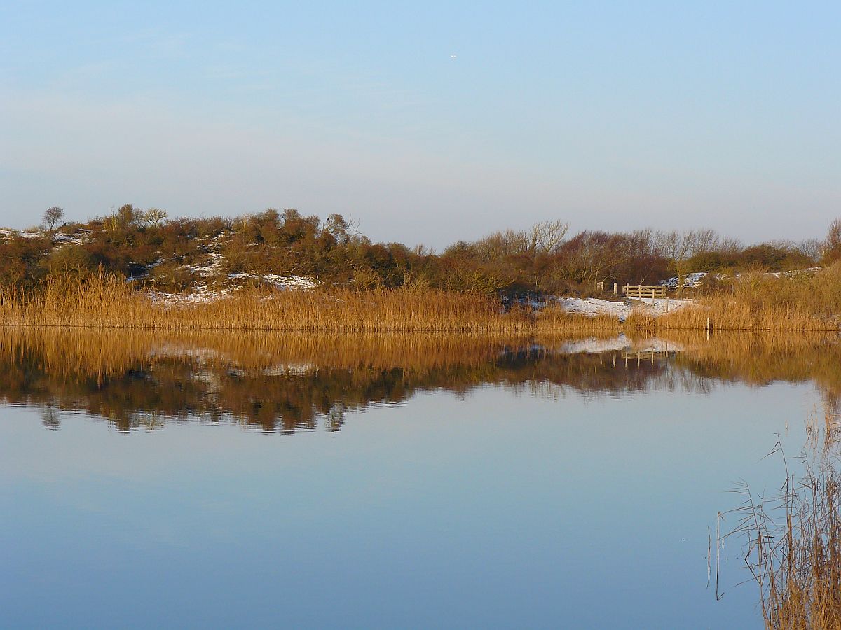 Dne bei Wassenaar 28-12-2014.

Duinen Meijendel, Wassenaar 28-12-2014.