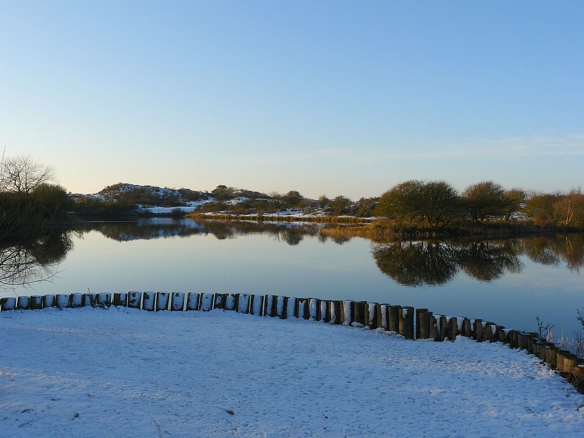 Dne bei Wassenaar 28-12-2014.

Duinen Meijendel, Wassenaar 28-12-2014.