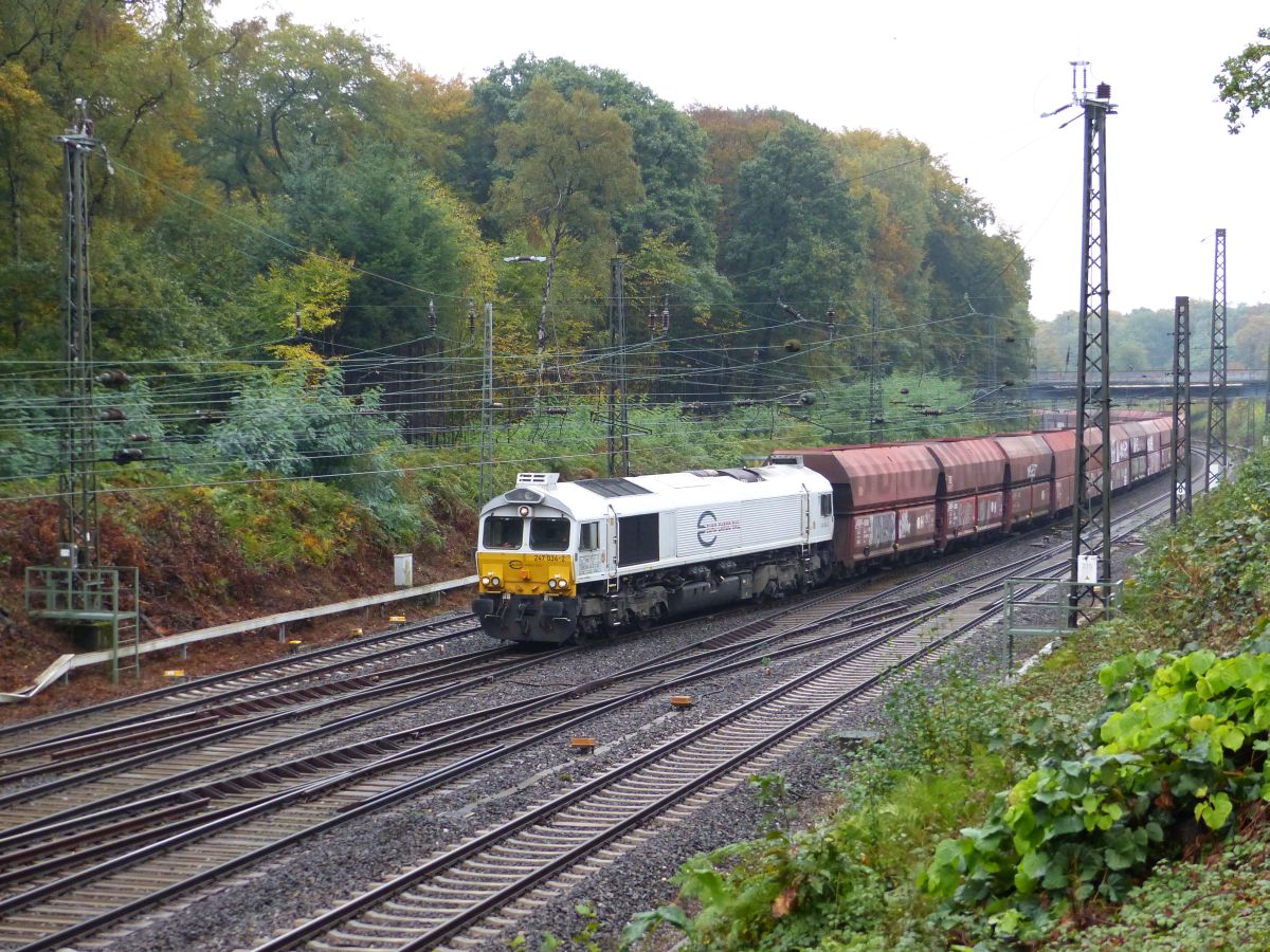 ECR (Euro Cargo Rail) Diesellok 247 034-2 Abzweig Lotharstrasse, Forsthausweg, Duisburg 20-10-2016.

ECR (Euro Cargo Rail) dieselloc 247 034-2 Abzweig Lotharstrasse, Forsthausweg, Duisburg 20-10-2016.