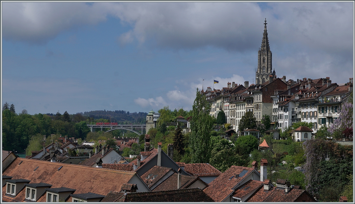 Ein Berner Tram ist auf der Monbijou-Brücke unterwegs, wobei jedoch die prächtige Kulisse der Berner Altstadt mit dem Münster dem kleinen Zug fast die Show stiehlt. Das Bild entstand auf der Nydeggbrücke in der Nähe des Alten Tramdépôt. 

26. April 2022