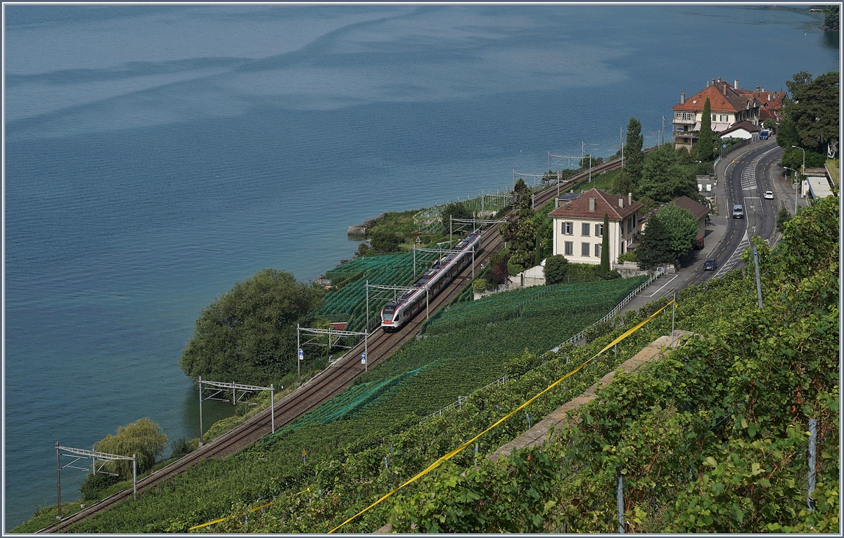 Ein Blick vom Wanderweg Cully-Rivaz auf die Strecke am See zeigt kurz vor Epesses einen Flirt auf der Fahrt Richtung Lausanne.
30. August 2017