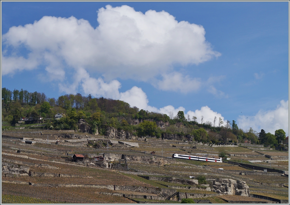 Ein  Domino  als S31 kurz vor Chexbres Villages im Lavaux.
22. April 2014