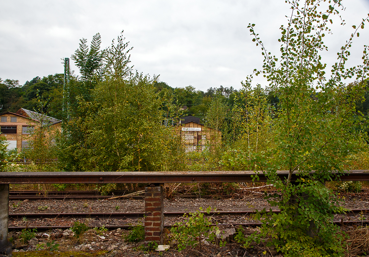 Ein etwas anderes Bahnbild....
Ein Stück der alten Laderampe beim ehem. Güterbahnhof Betzdorf/Sieg (hier am 20.09.2021). 