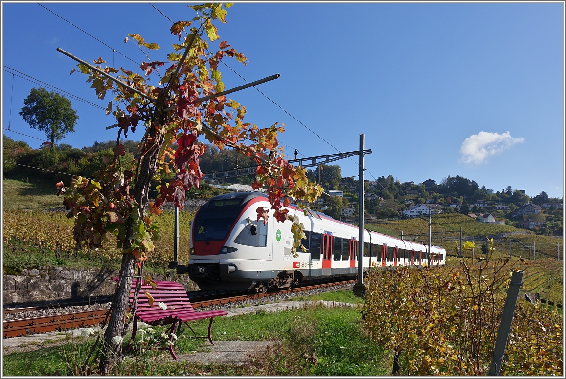 Ein Flirt im herbstlichen Lavaux.
(23.10.2014)