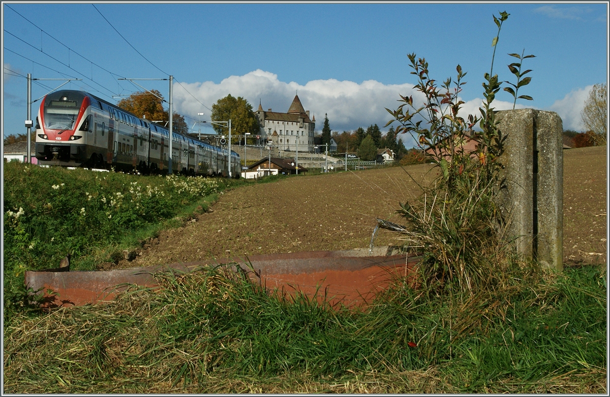 Ein RABe 511 als RE Romont - Genve bei Oron. 
30. Okt. 2014