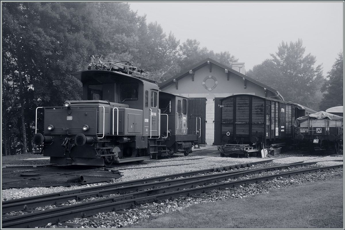 Ein (S/W) Blick in Gelände des  CTVJ (Compagnie du Train a vapeur de la Vallée de Joux) in Le Pont.
5. Sept. 2014